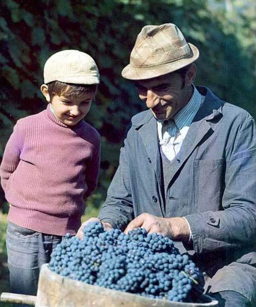 Francesco Borgogno Winery Producers of Barolo since 1930